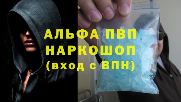 стаф Зерноград