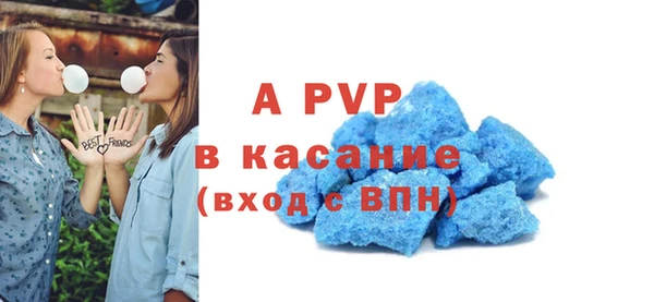 стаф Зерноград