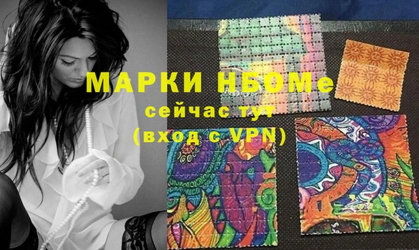 стаф Зерноград