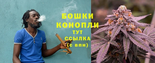 стаф Зерноград