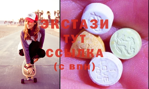 стаф Зерноград